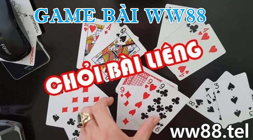 game bài 3D ww88.