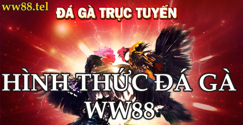 Hình Thức Đá Gà Trực Tuyến Tại WW88